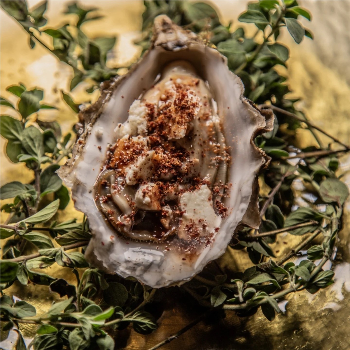 Grilled oyster component